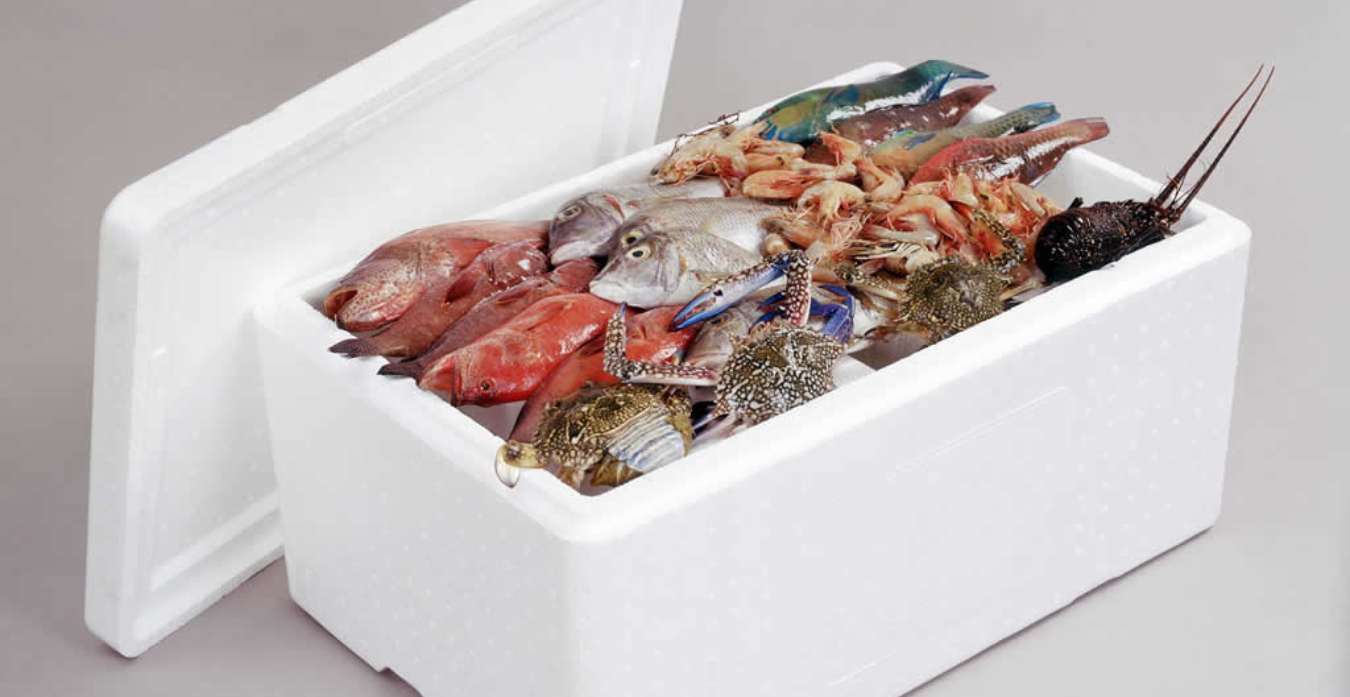 Caja térmica de EPS con mariscos y pescados frescos, destacando sus beneficios para la conservación y transporte de alimentos perecederos.