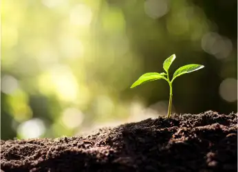 planeta-sustentable