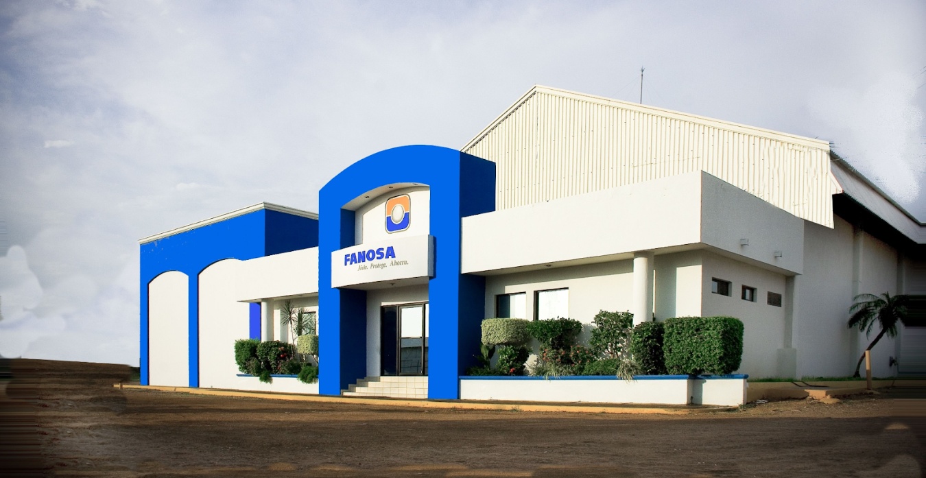 FANOSA ¿Qué debe ofrecerte un proveedor estratégico de EPS para tu obra